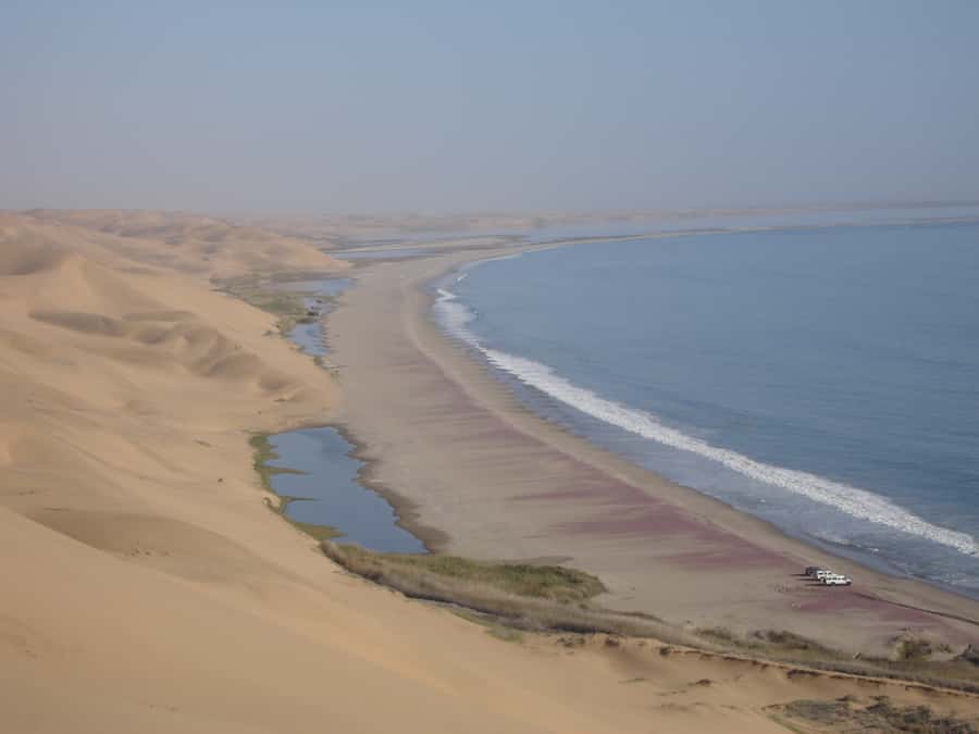 Walvis Bay: 4x4 Desert Excursion to Sandwich Harbour Bay - Who will enjoy this most?