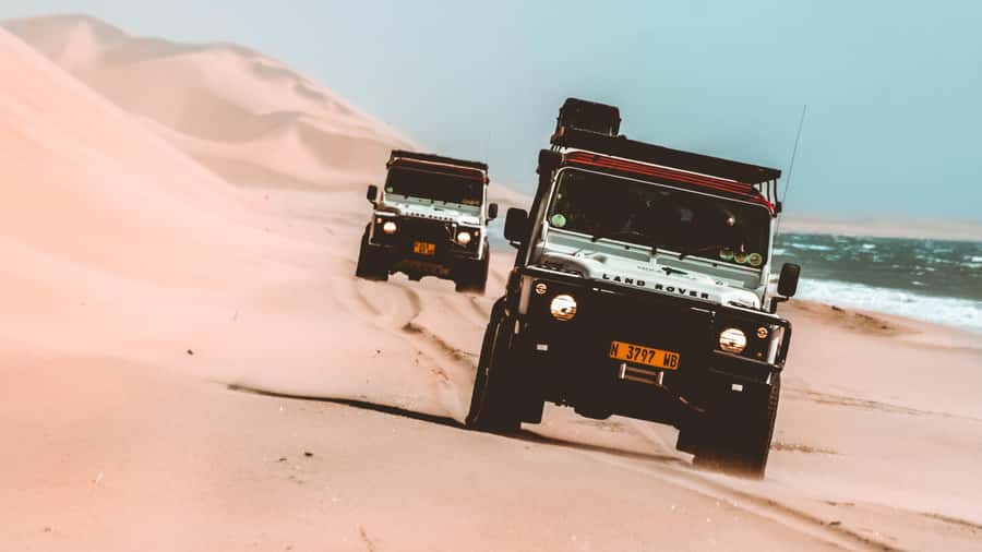 Walvis Bay: Dolphin Cruise, Pink Lakes and 4x4 Dune Drive - Oysters and sparkling wine on the catamaran