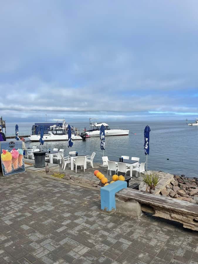 Walvis Bay: Half-Day Tour with Dune 7 and Pink Lake - Driving from Walvis Bay to Swakopmund