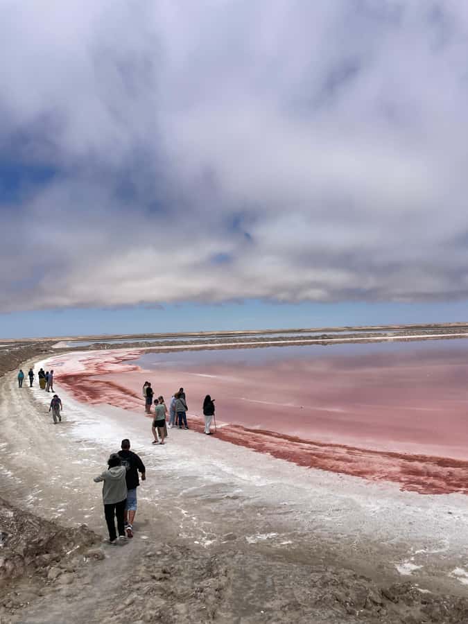 Walvis Bay: Half-Day Tour with Dune 7 and Pink Lake - Walvis Bay Lagoon and a waterfront full of birds