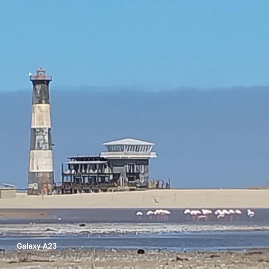 Walvis Bay: Kayaking and Sandwich Harbour Full-Day Tour - Key Points At A Glance