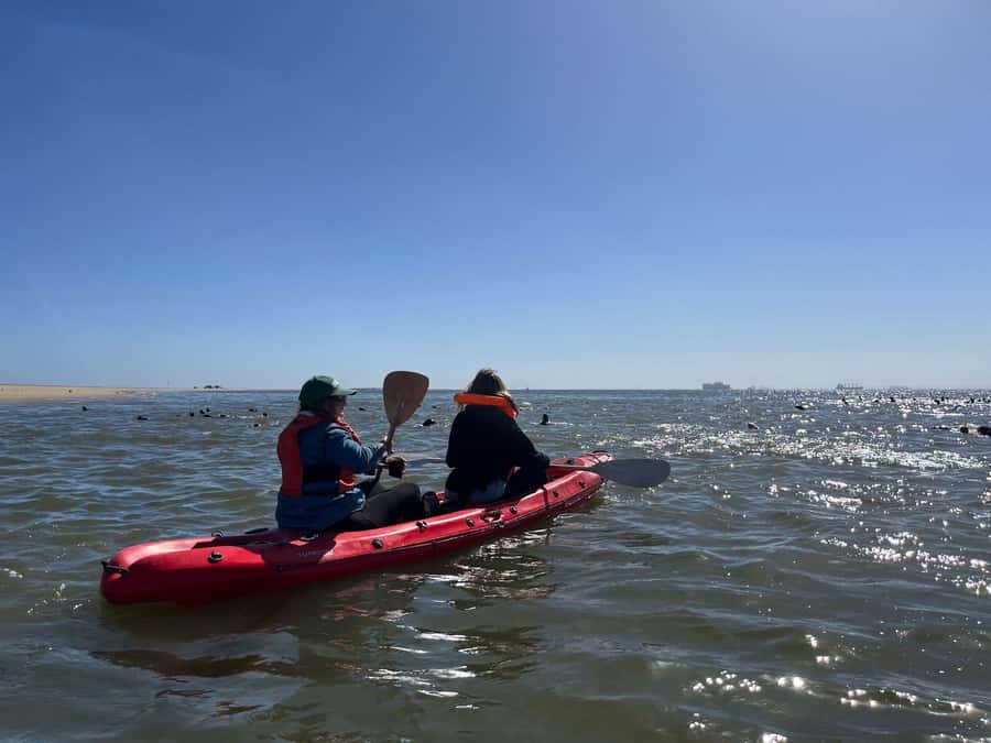 Walvis Bay: Kayaking and Sandwich Harbour Full-Day Tour - Why This Tour Works So Well
