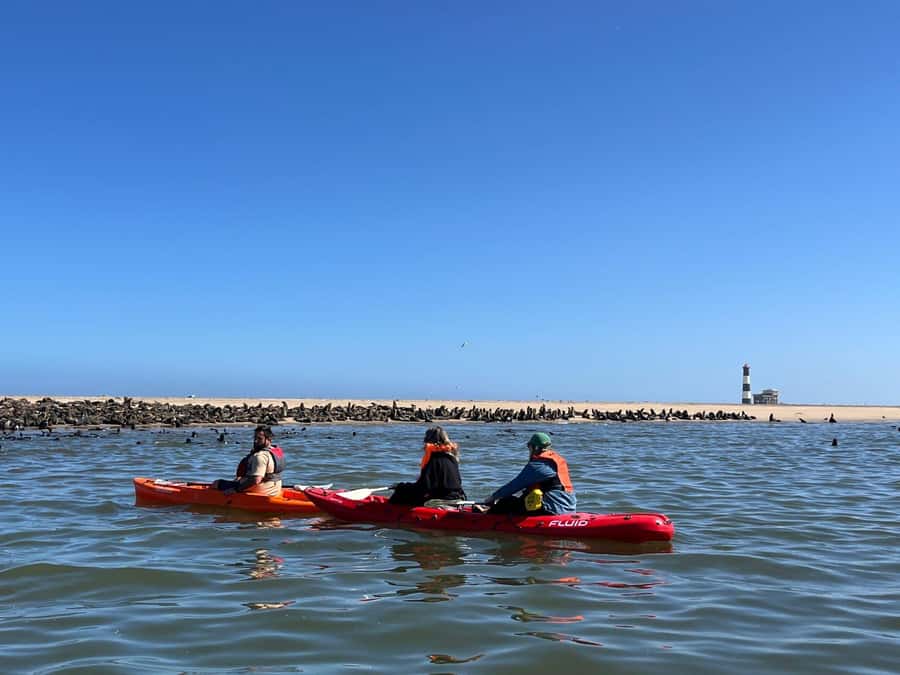 Walvis Bay: Kayaking and Sandwich Harbour Full-Day Tour - Pelican Point And The Seal Kayaking