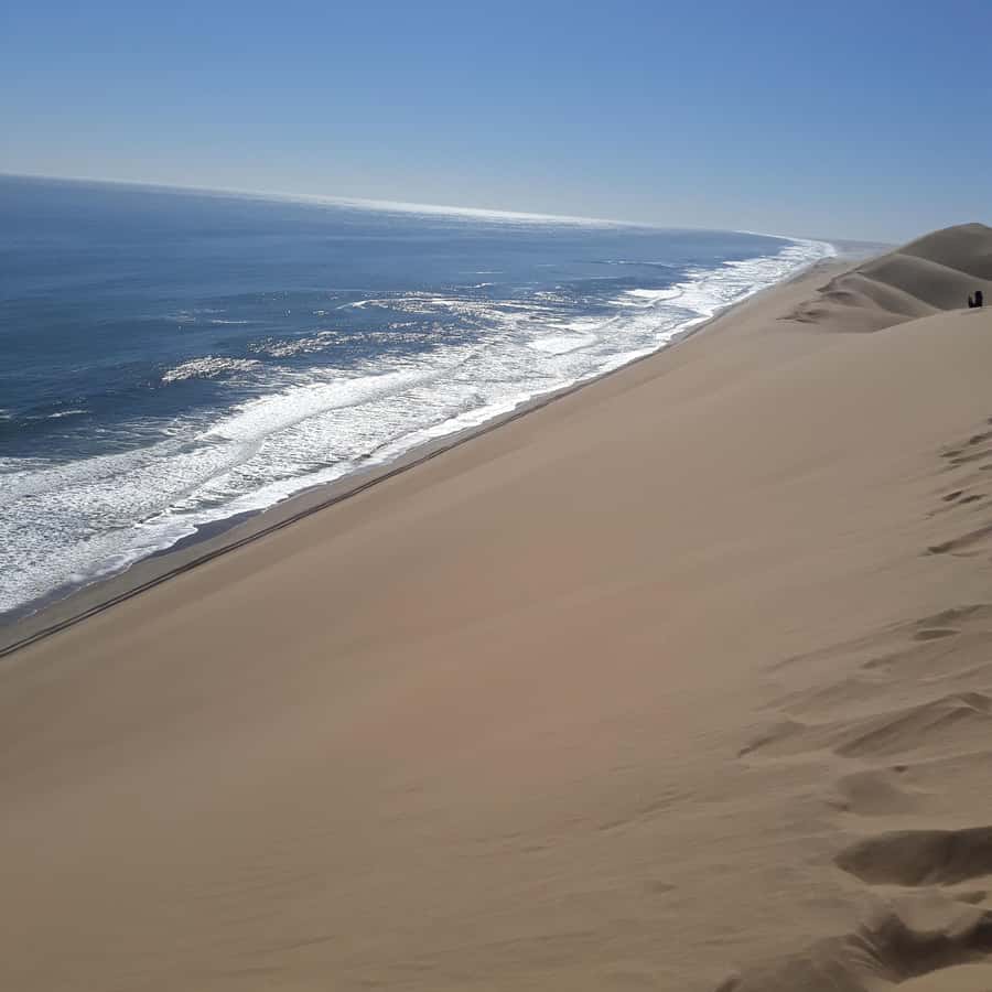 Walvis Bay: Kayaking and Sandwich Harbour Full-Day Tour - Guides Make The Difference