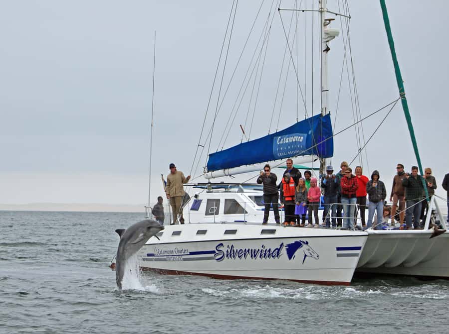 Walvis Bay: Marine Big 5 Luxury Catamaran Tour - Guides, languages and the human side of the trip