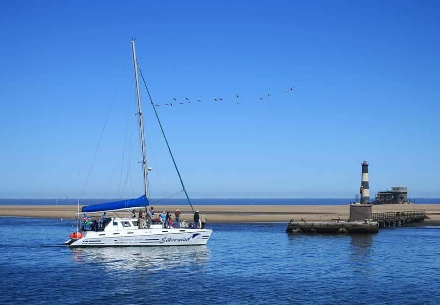 Walvis Bay: Marine Big 5 Luxury Catamaran Tour - Is $76 a fair price?