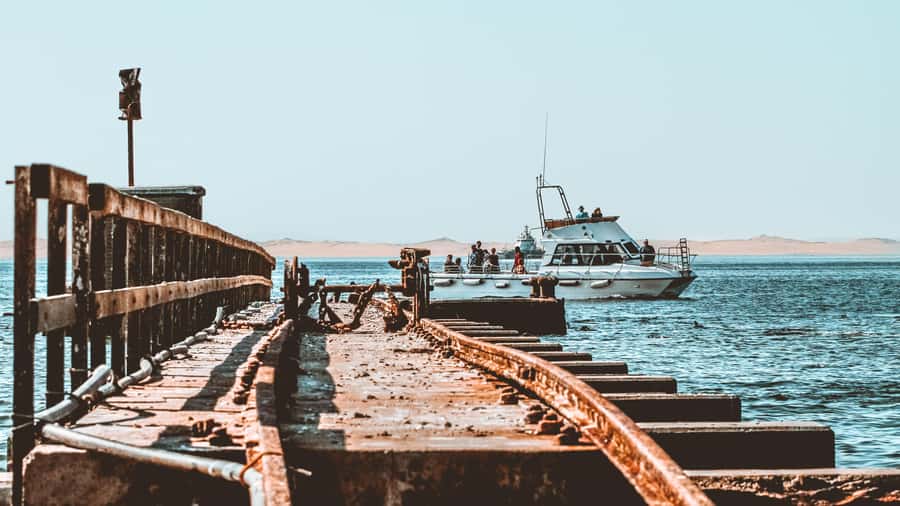 Walvis Bay: Namibian Coast Dolphin Cruise with Light Lunch - Booking details worth knowing