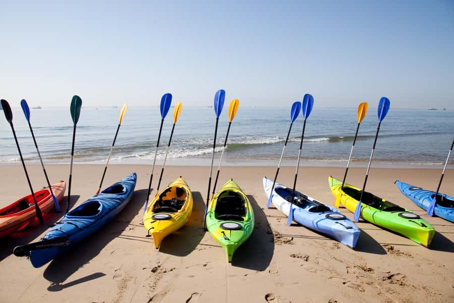 Walvis Bay: Pelican Point Kayaking Tour - Shipwrecks, lighthouse views, and coastal photographs