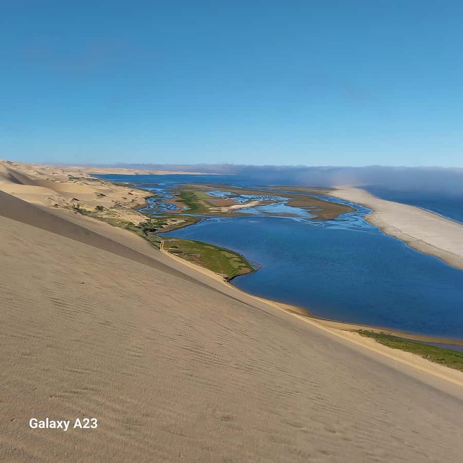 Walvis Bay: Pelican Point Seal and Sandwich Harbour Tour - What to bring and who should skip it
