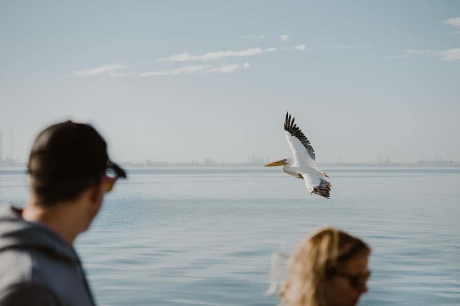 Walvis Bay: Sandwich Harbour 4x4 Trip with Beach BBQ Lunch - How much value do you get for $369?