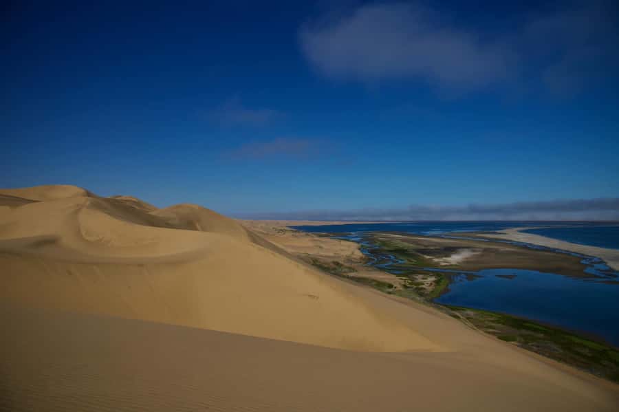 Walvis Bay: Sandwich Harbour Half-Day 4x4 Scenic Excursion - From the salt works to the open Namib