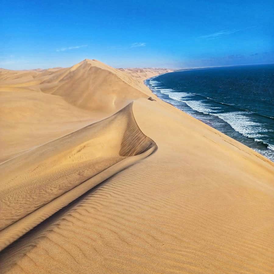 Walvis Bay: Sandwich Harbour Half-Day 4x4 Scenic Excursion - Dune driving with a safety-first feel