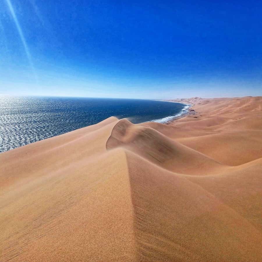 Walvis Bay: Sandwich Harbour Half-Day 4x4 Scenic Excursion - Wildlife in a desert by the sea