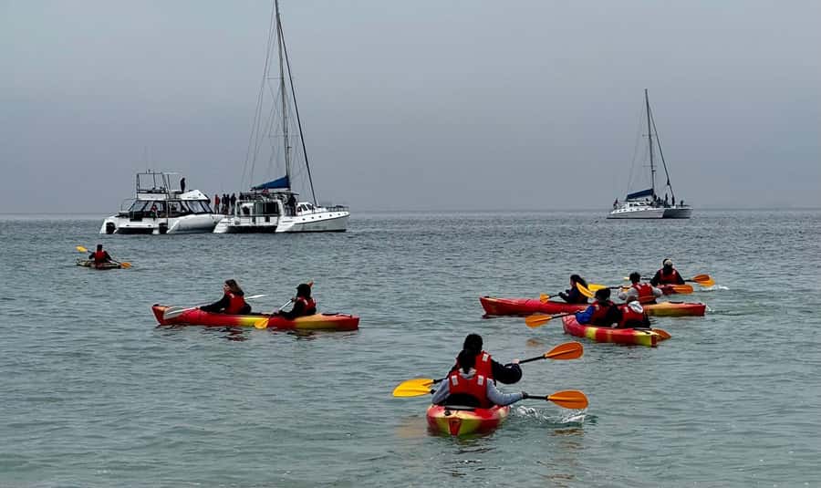 Walvis Bay: Seal Kayaking Adventure with Brunch - Beach time, oysters, and a relaxed finish