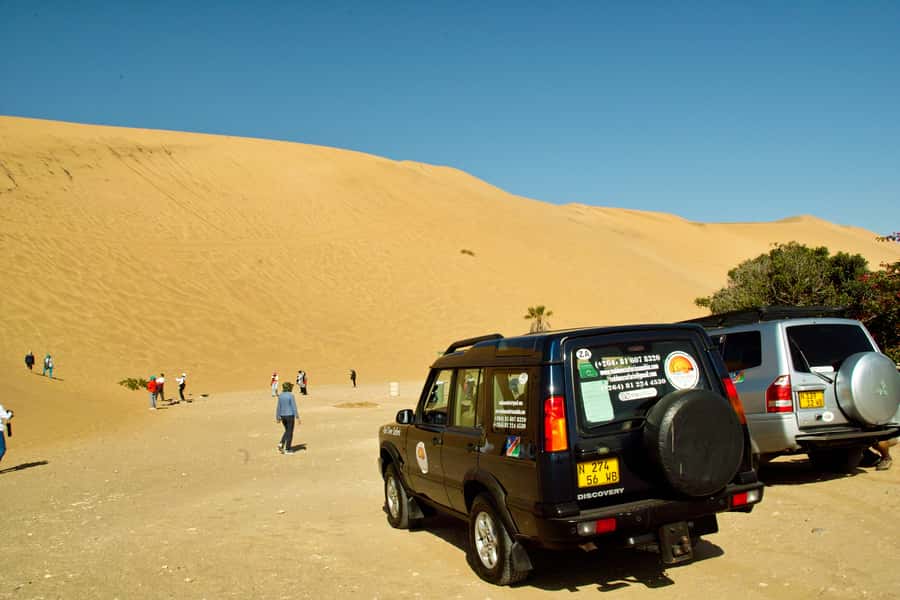 Walvis Bay Shore Excursion: Flamingos, Dune 7, Swakopmund - What the $200 price covers