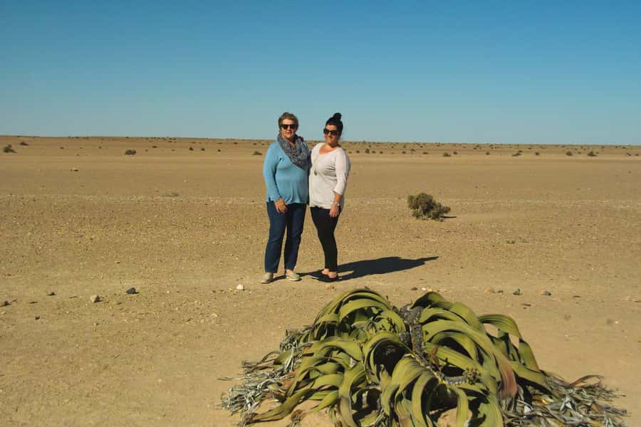 Walvis Bay Shore Excursion: Flamingos, Dune 7, Swakopmund - Who should book this Walvis Bay excursion