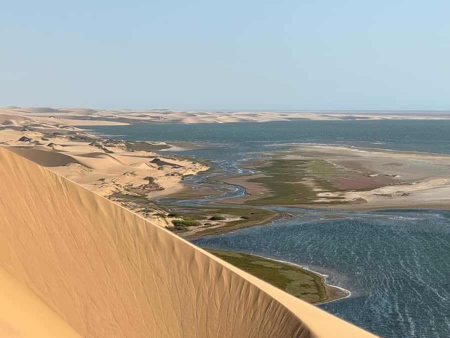 Walvisbay: Sandwich Harbour SUNSET Tour-End It Beautifully - Animals and birds along the sand route