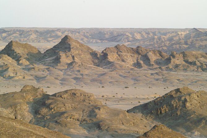 Welwitschia Tour from Swakopmund - The guides make the difference