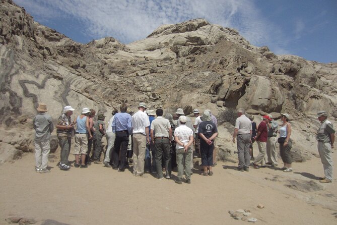 Welwitschia Tour from Swakopmund - Price, inclusions, and overall value