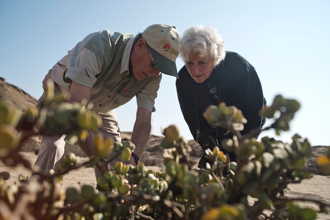 Welwitschia Tour from Swakopmund - Booking details that matter