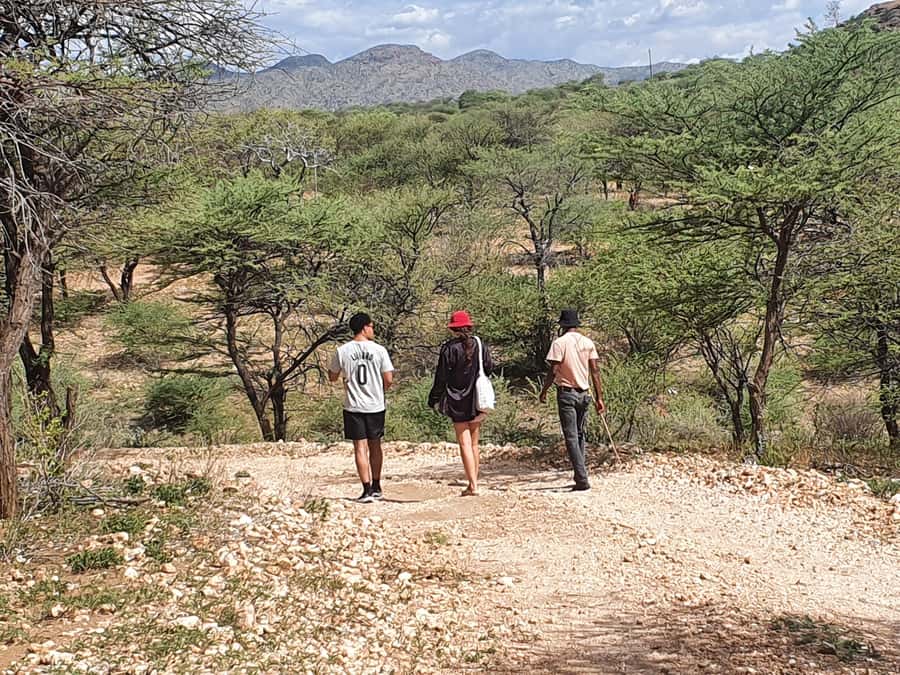Windhoek: Bushman Walk with the San - Key points to know