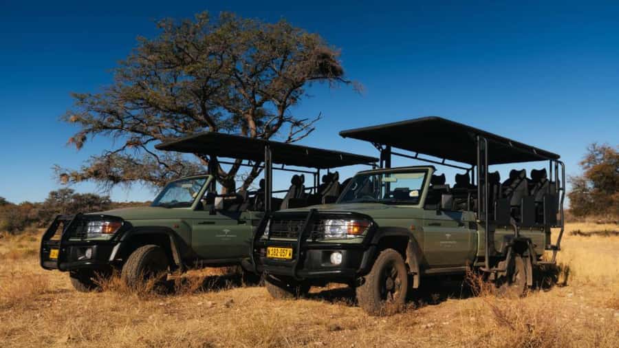 Zannier Game Drive with Hotel Pickup - A conservation drive outside Windhoek